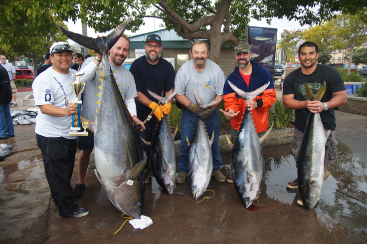 Scott's Species – yellowfin tuna, a wonderful prized pelagic